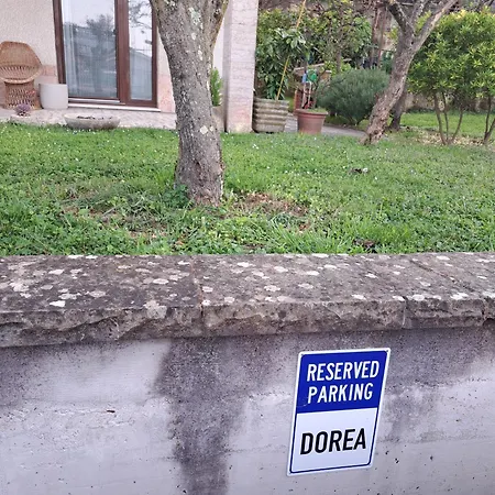 Dorea